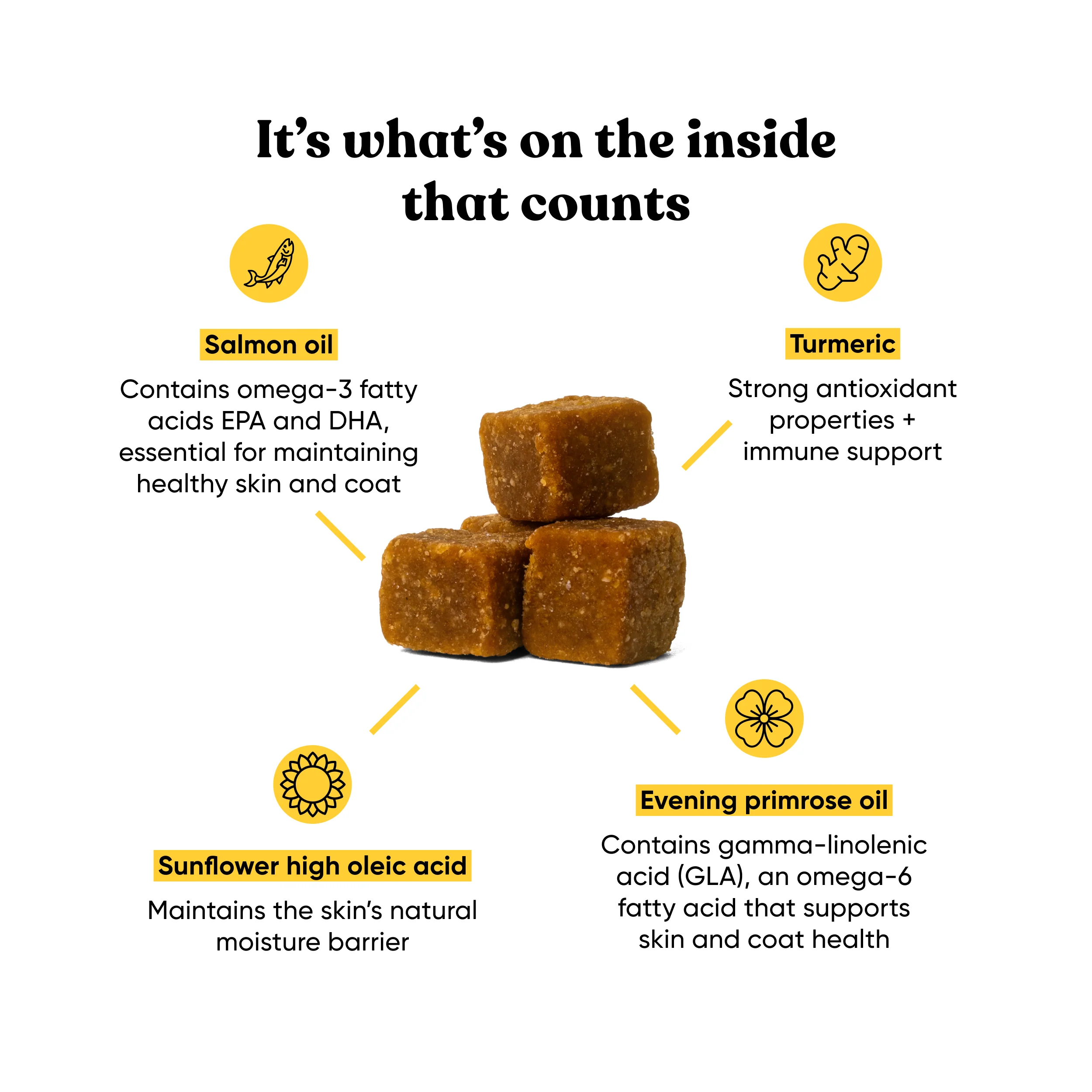 Embark Allergy - Image 3