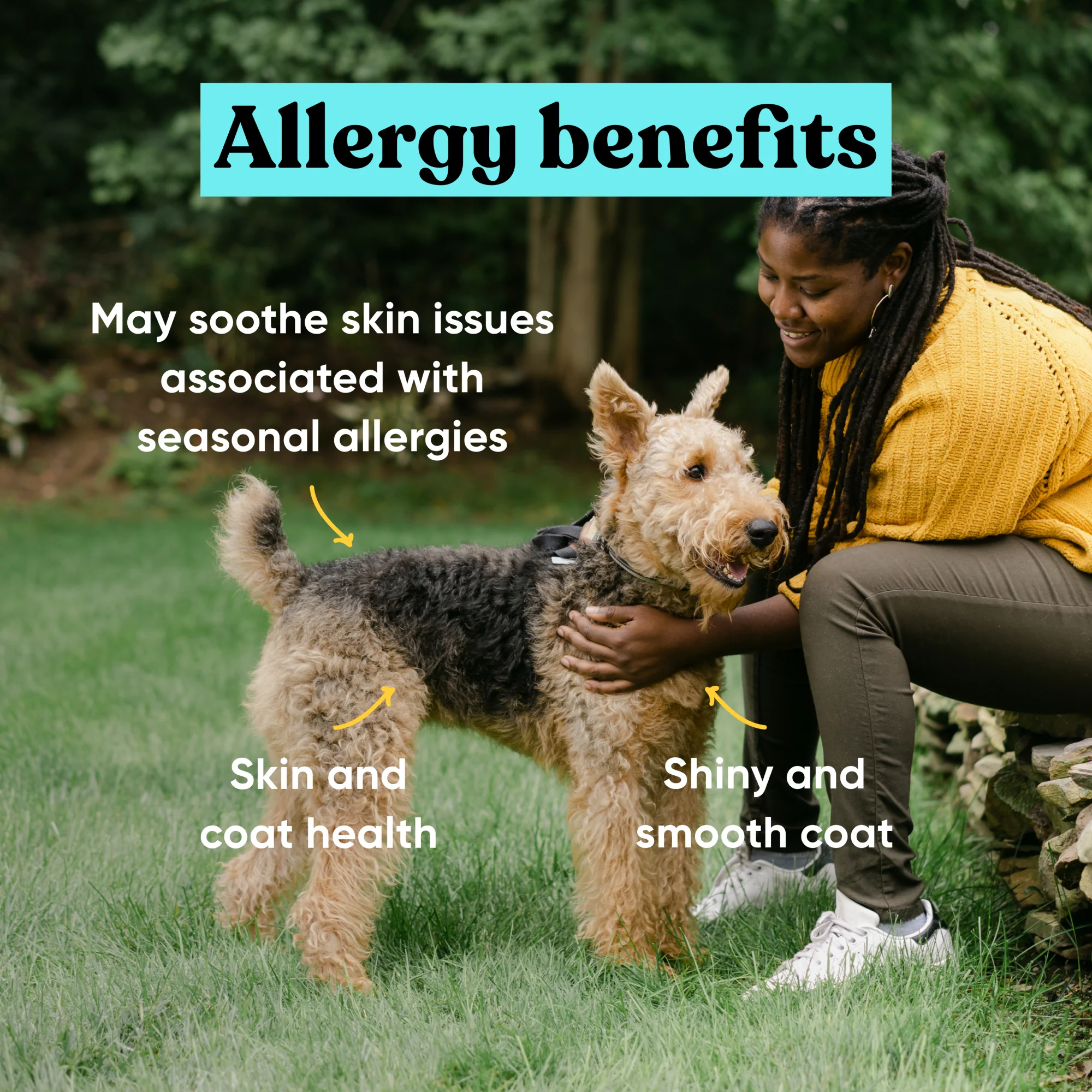 Embark Allergy - Image 4