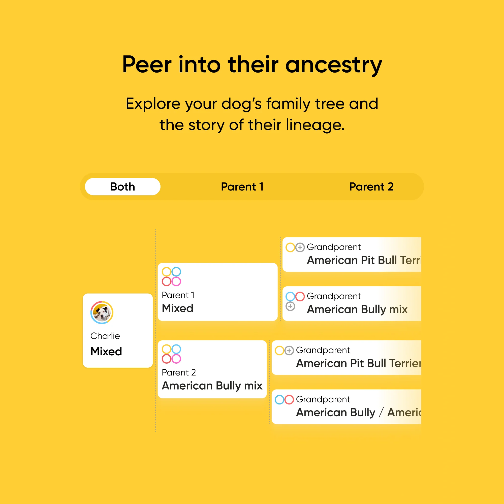 Breed + Health Test 2-Pack - Image 6