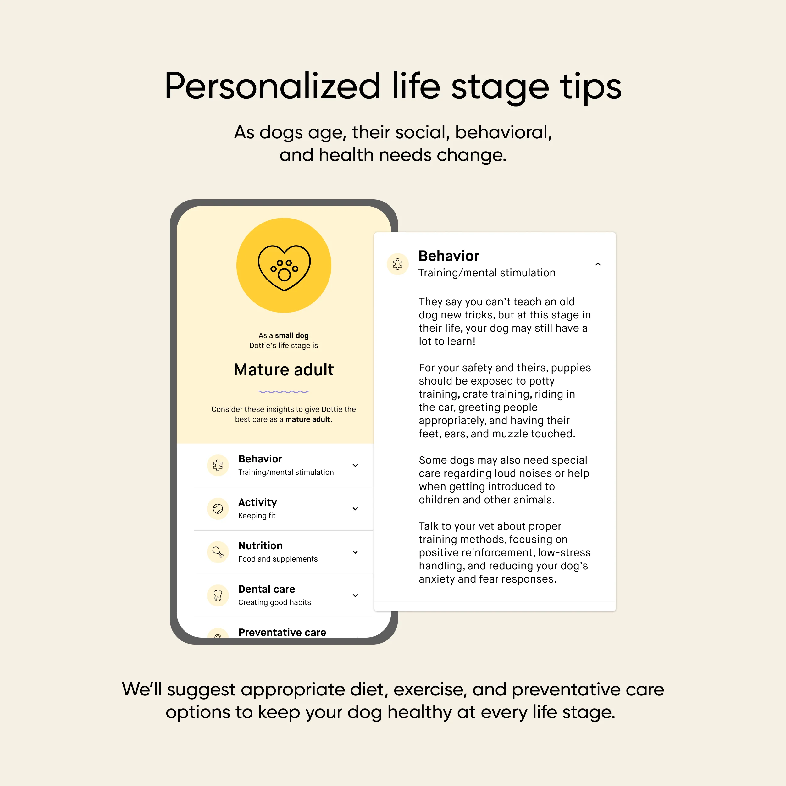 Dog Age Test - Image 3