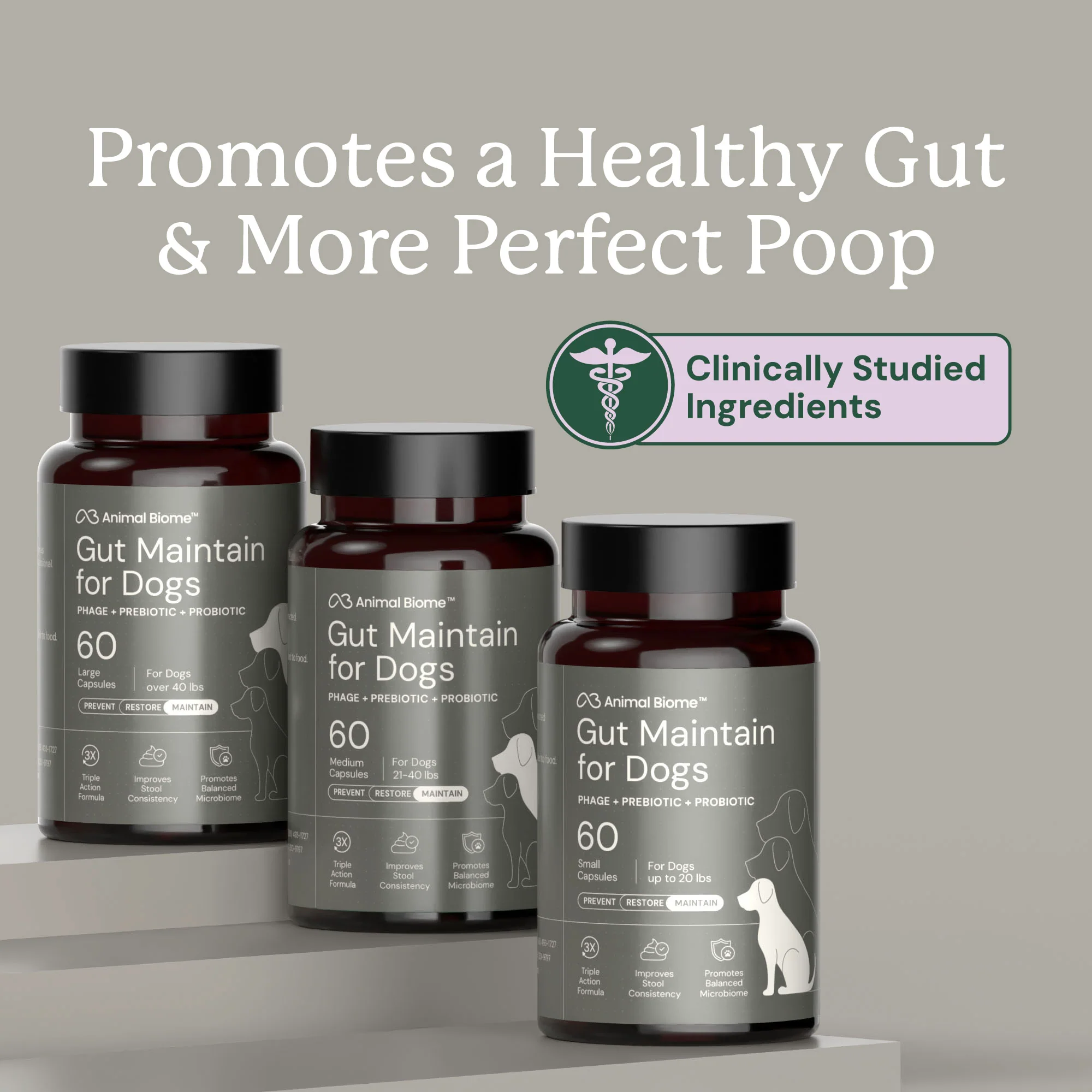 Gut Maintenance Plus Supplement - Image 11