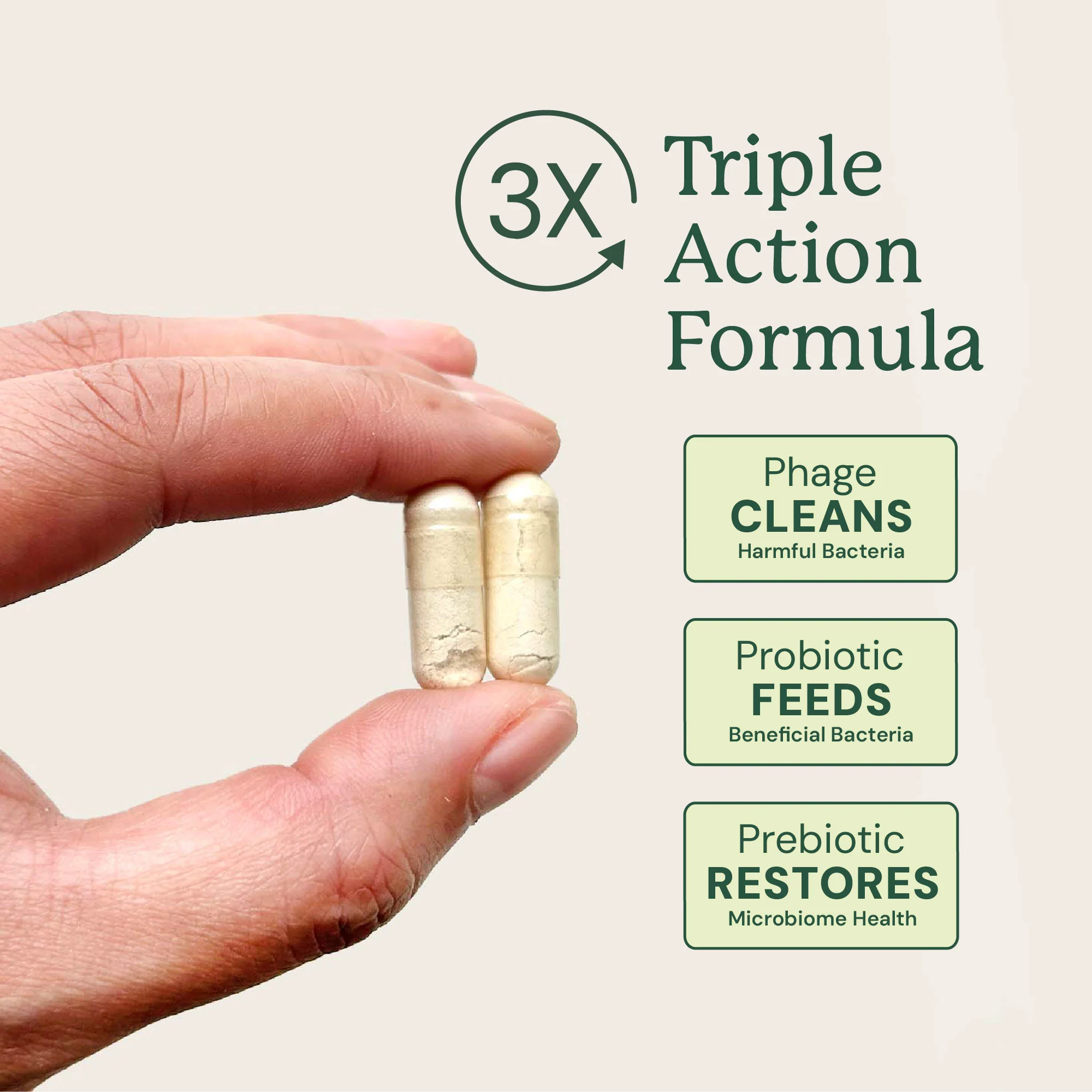 Gut Maintenance Plus Supplement - Image 3