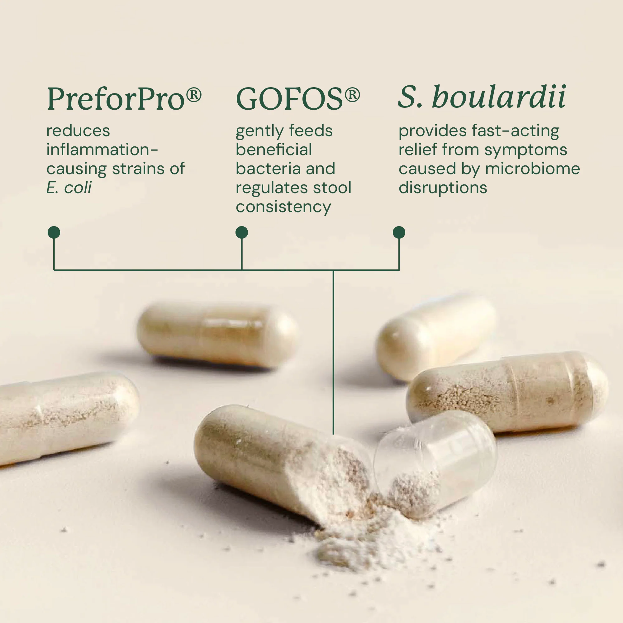 Gut Maintenance Plus Supplement - Image 4