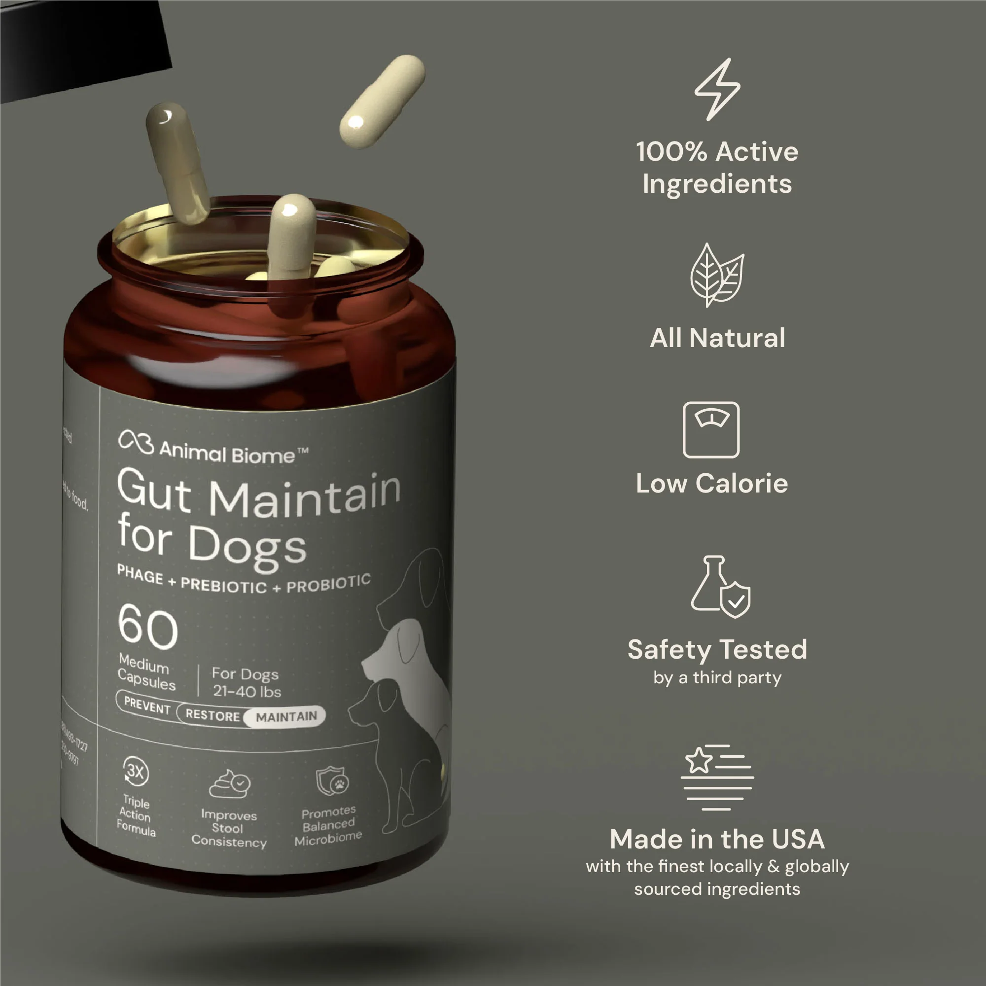 Gut Maintenance Plus Supplement - Image 7