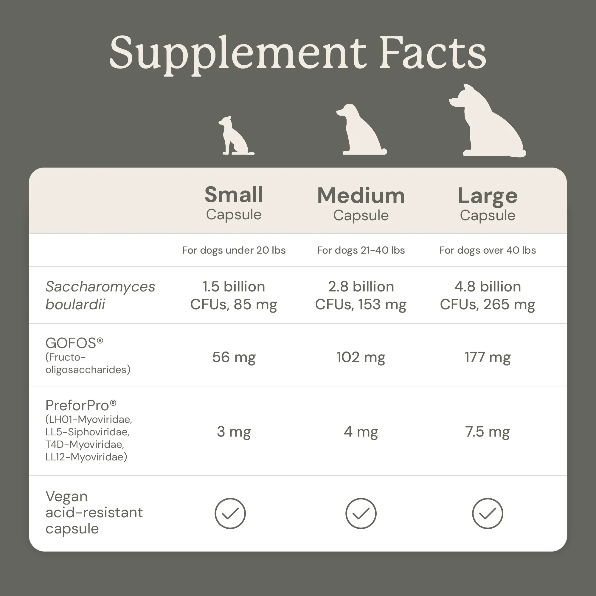 Gut Maintenance Plus Supplement - Image 9