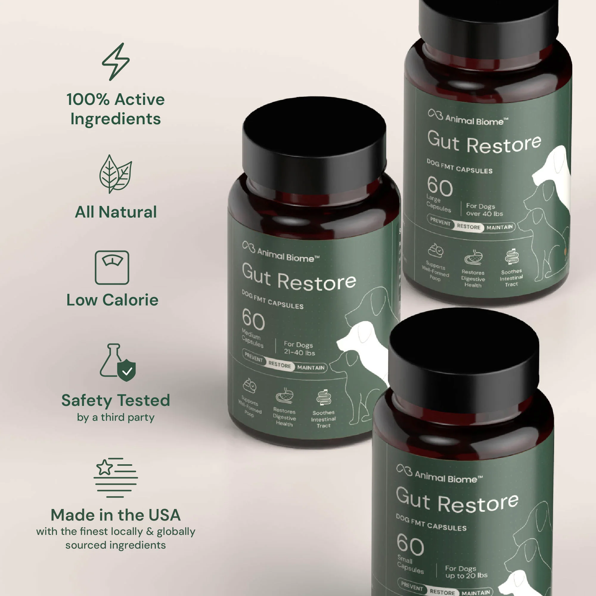 Gut Restore Supplement for Dogs - Image 8