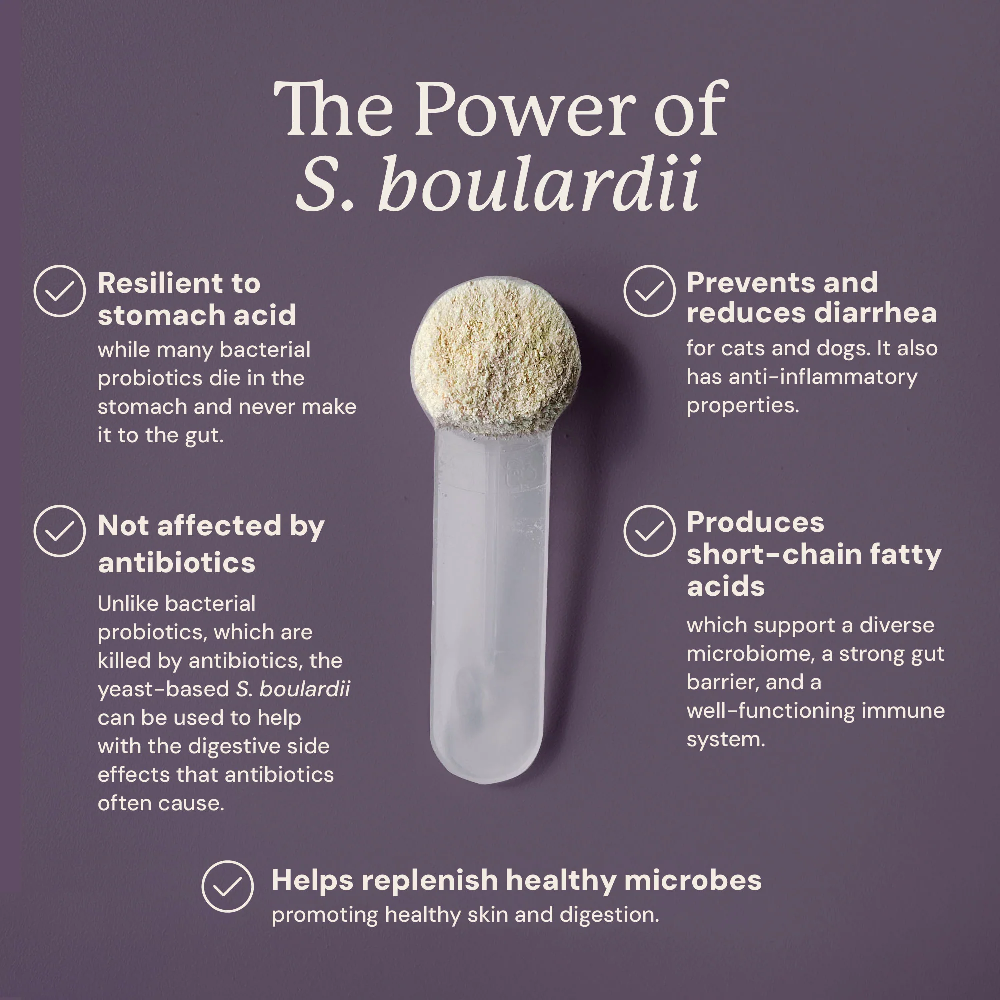 S. Boulardii + FOS Powder - Image 3