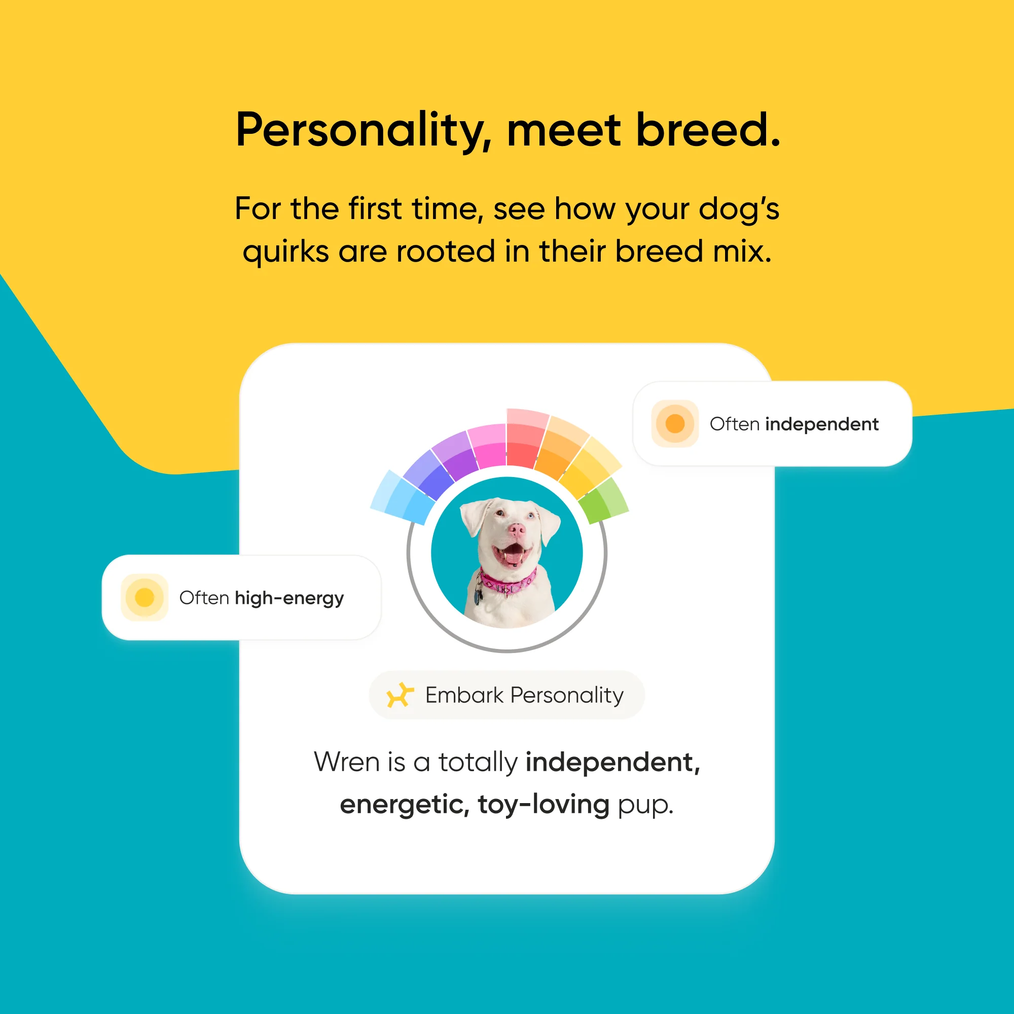 Breed + Health Test 2-Pack - Image 9