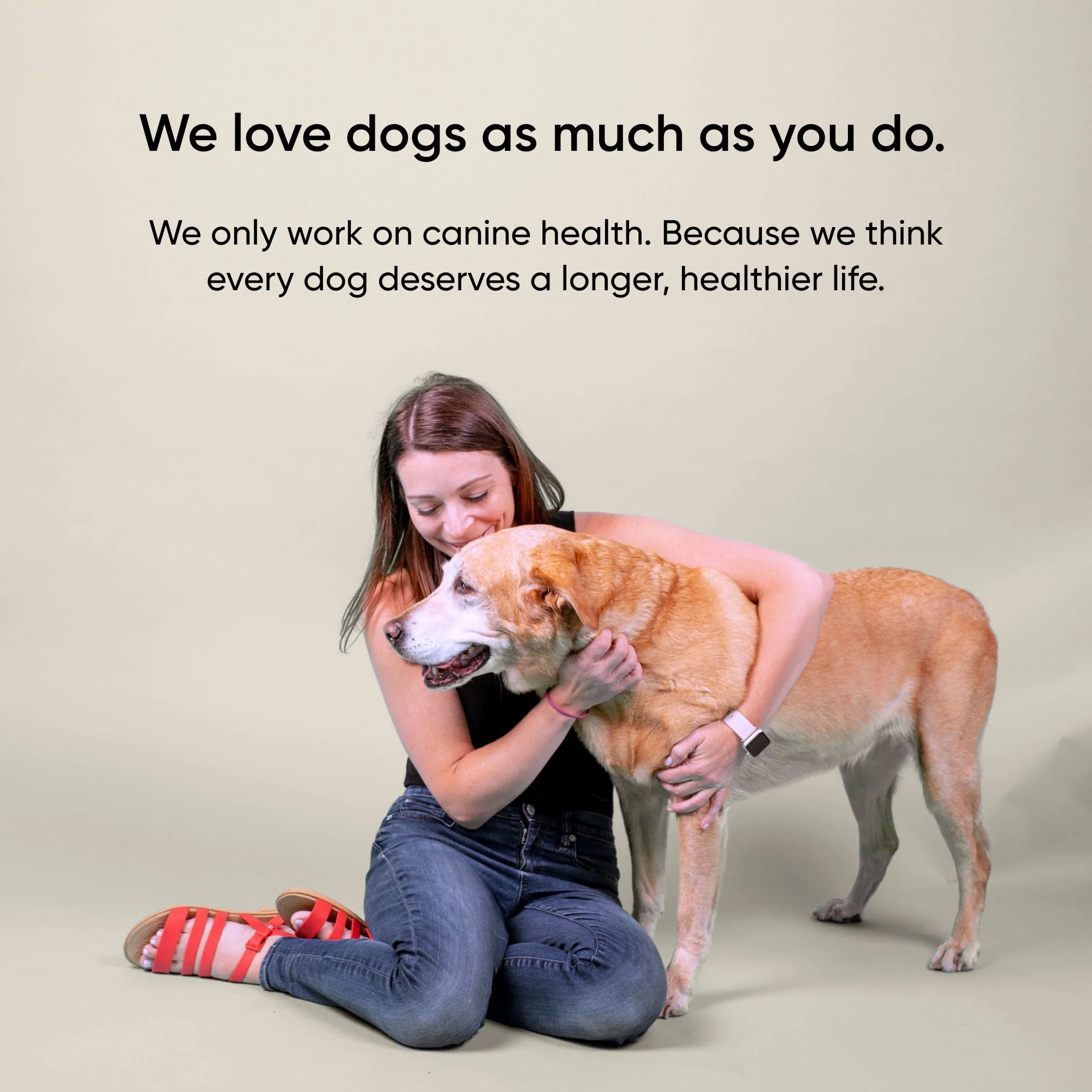 Embark dog DNA test kits - Image 11