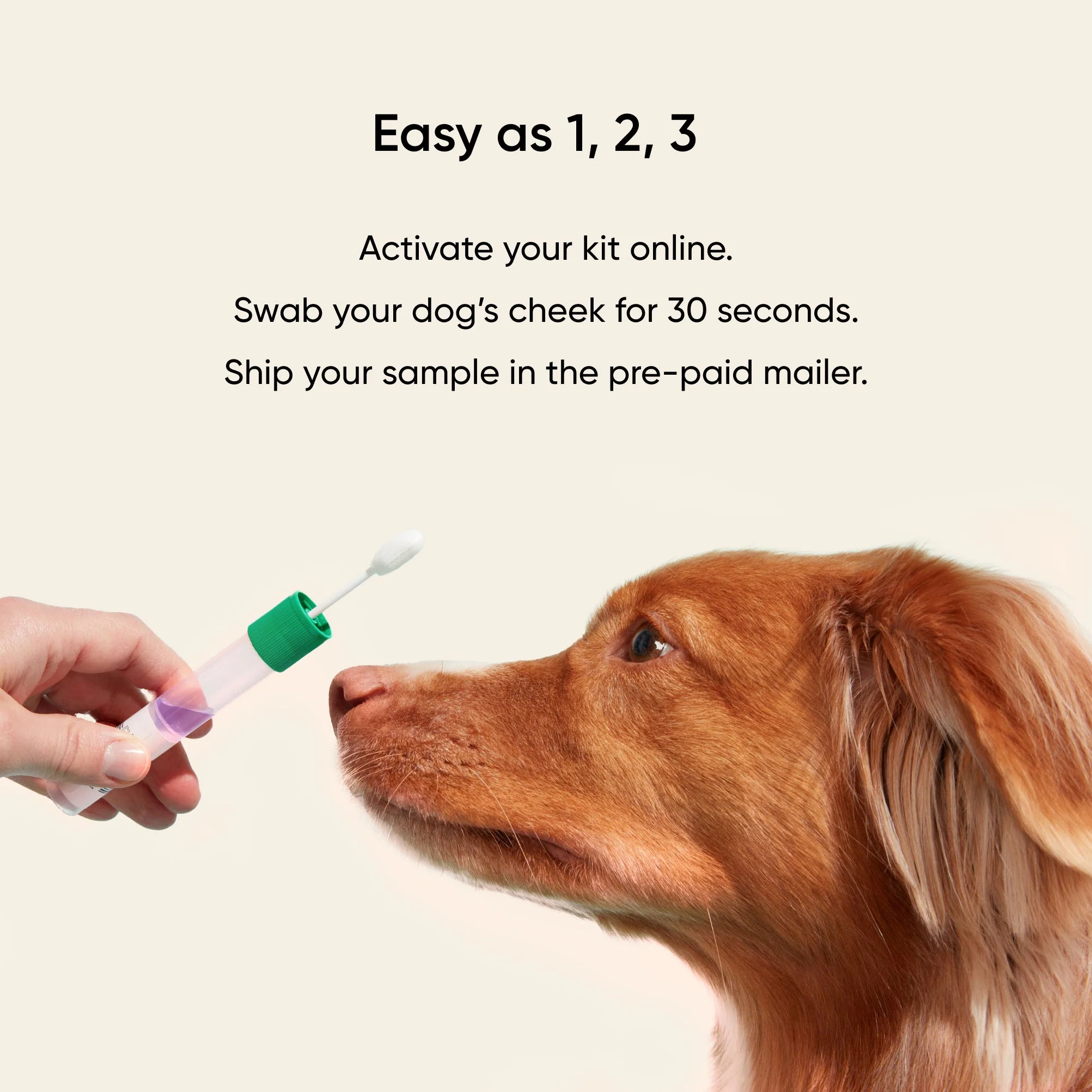 Embark dog DNA test kits - Image 12