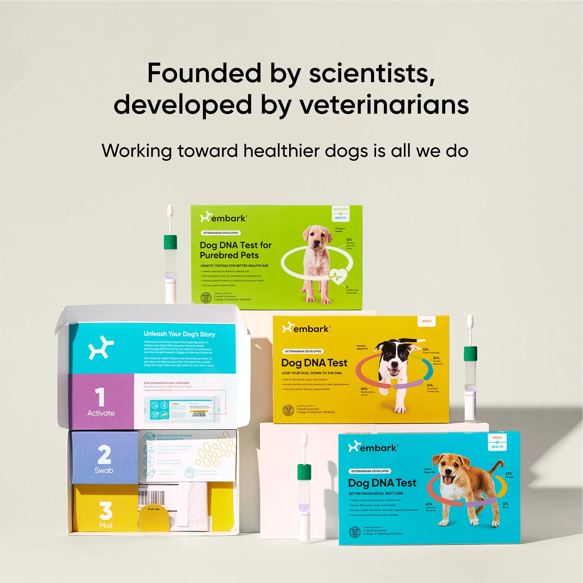 Embark dog DNA test kits - Image 6