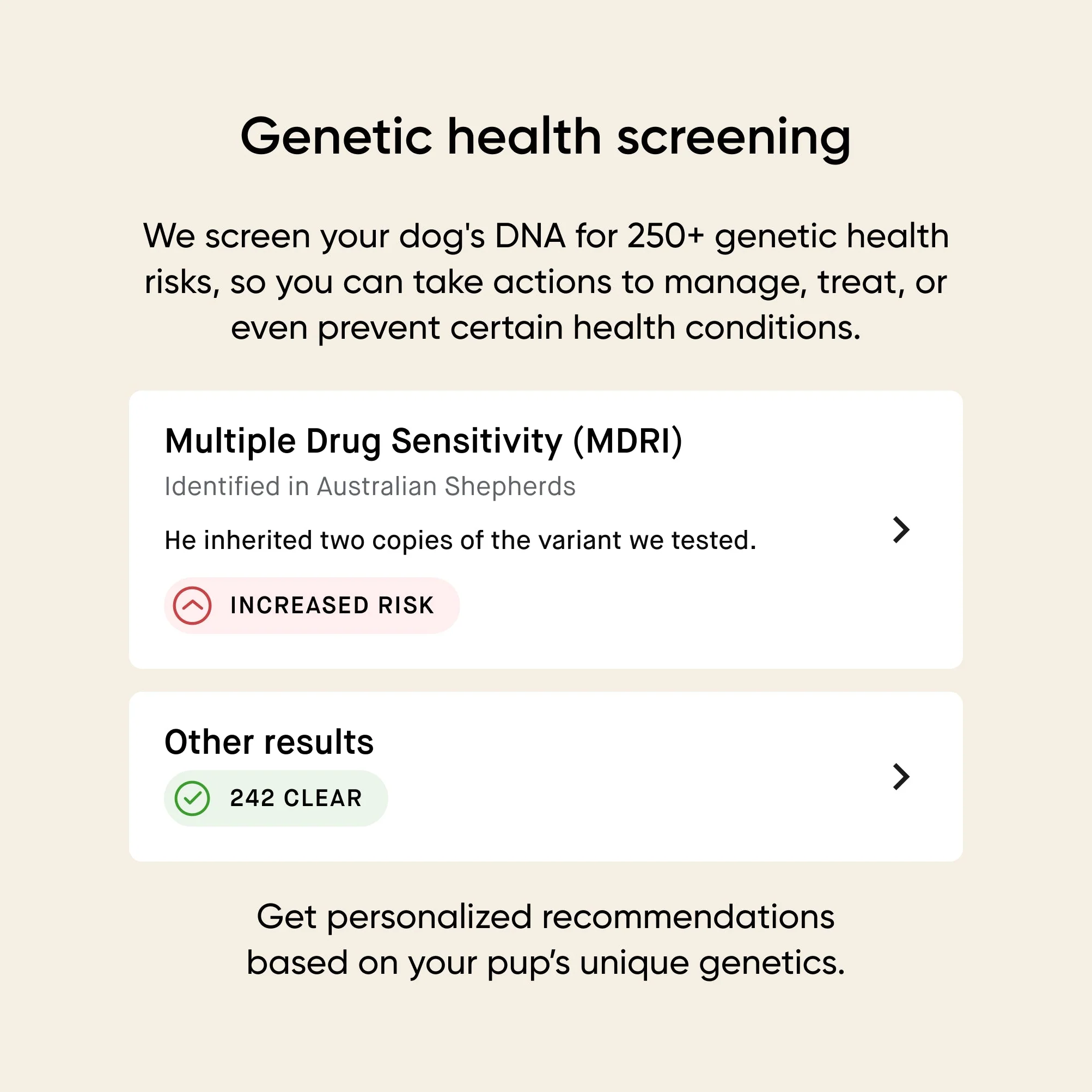 Embark dog DNA test kits - Image 9