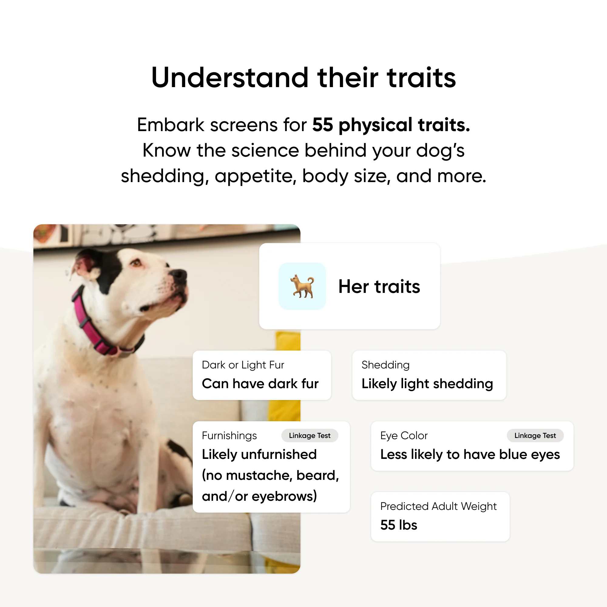 Embark Dog DNA Test +  Shelter Program - Image 7