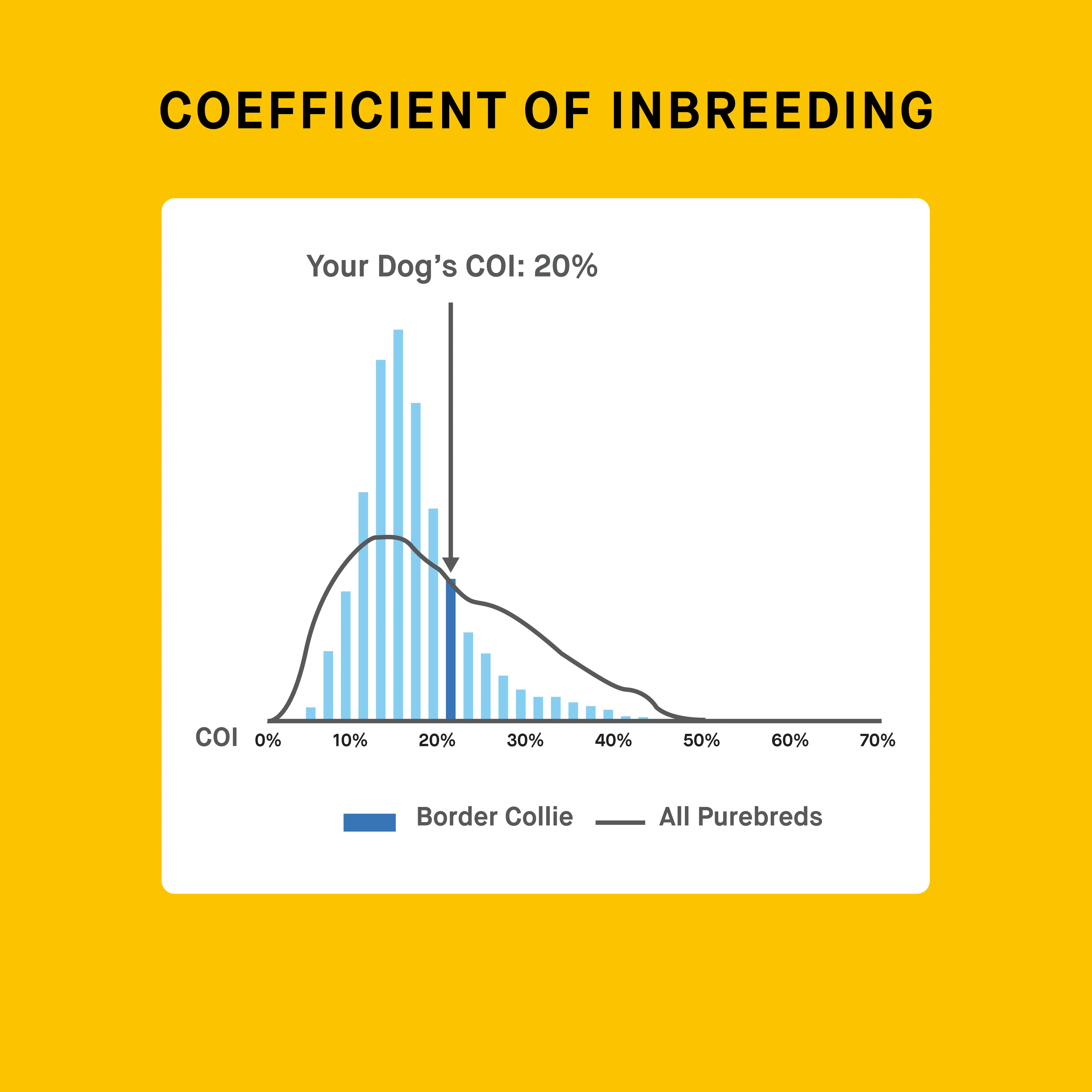 Embark for Breeders Dog DNA Test - Image 5