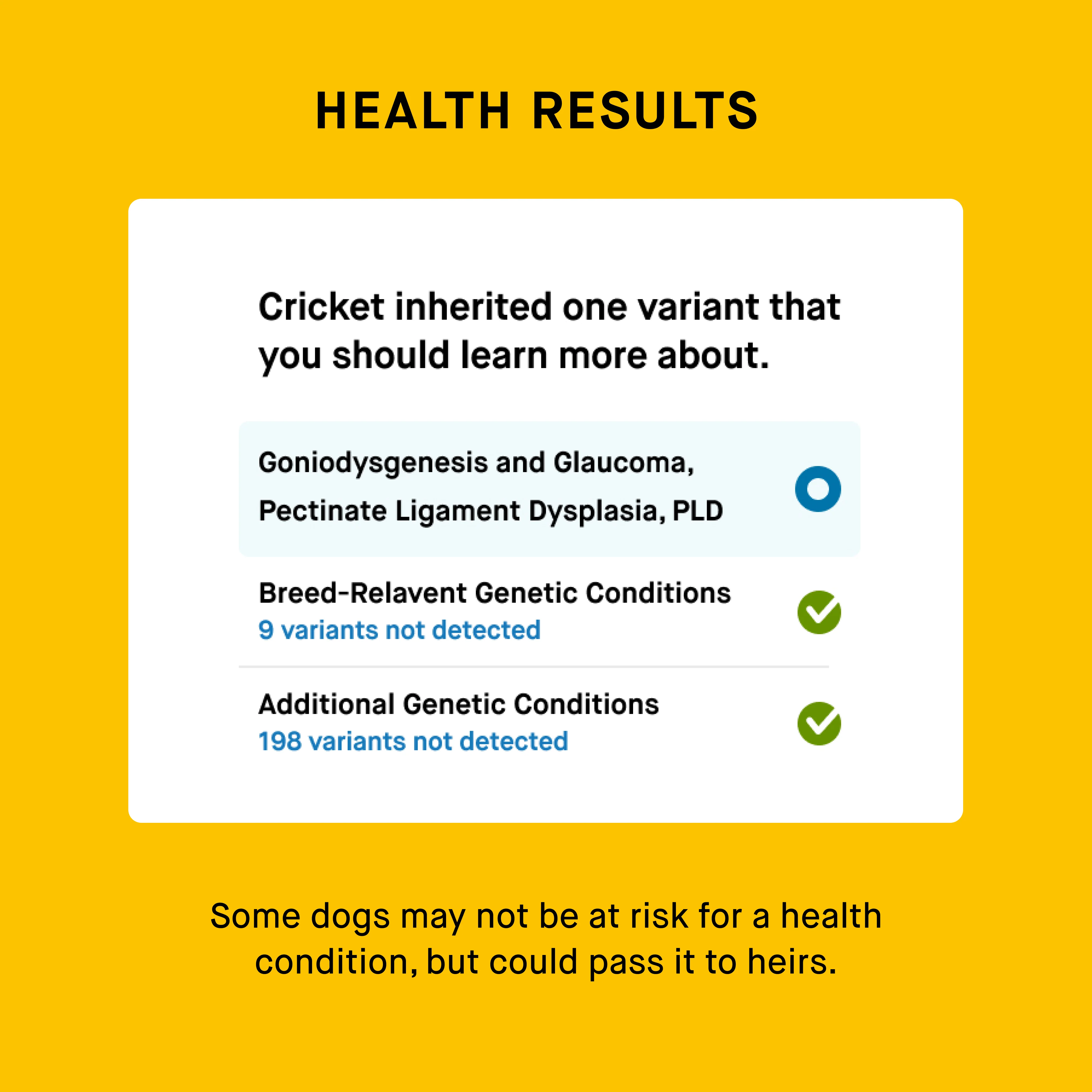 Embark for Breeders Dog DNA Test - Image 6