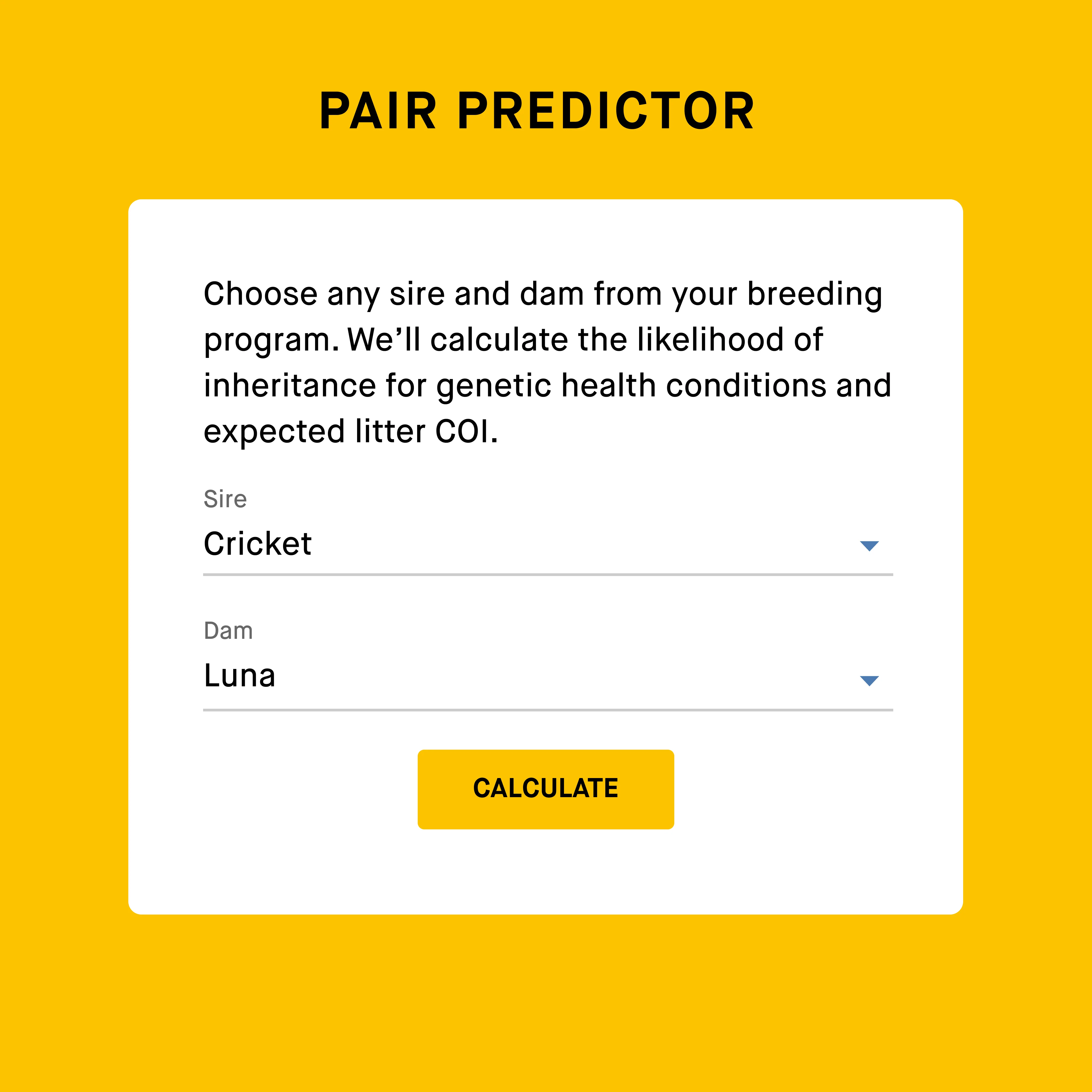 Embark for Breeders Dog DNA Test - Image 7