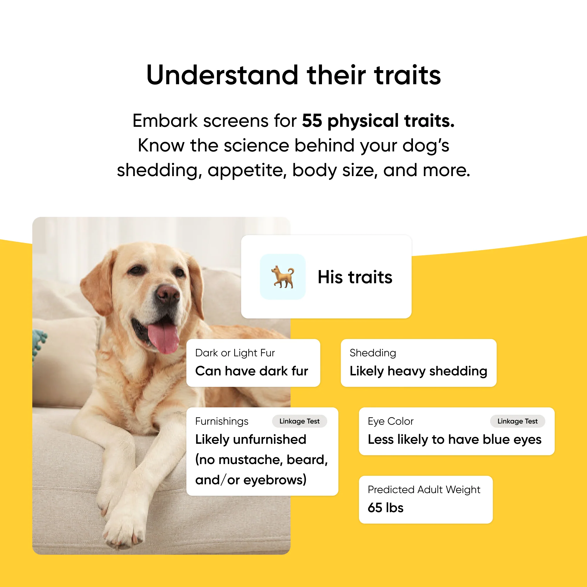 Purebred Test 2-Pack - Image 5