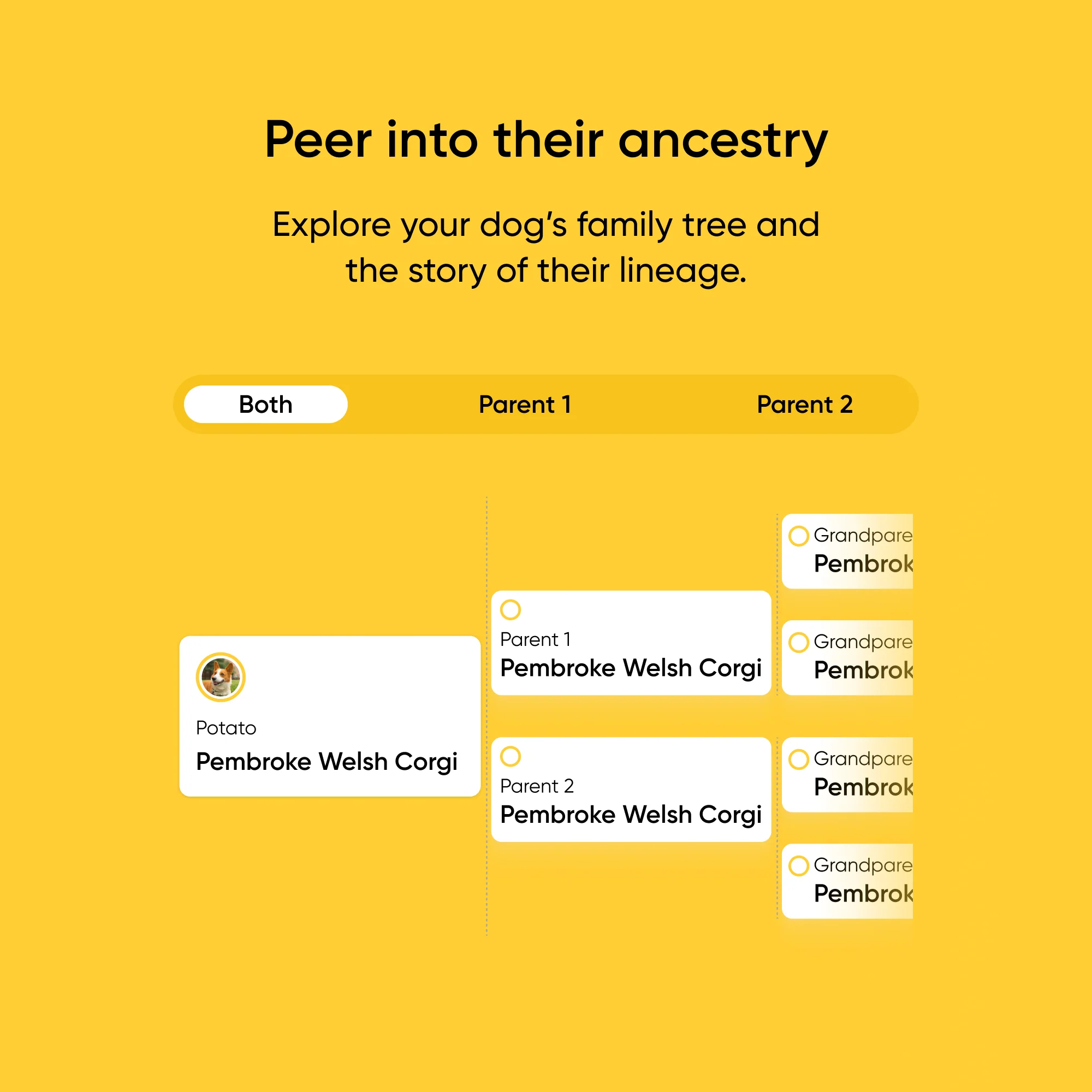 Purebred Test 2-Pack - Image 8